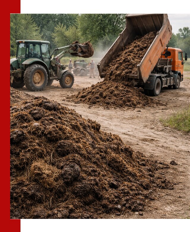Доставка навоза самосвалами в Гатчине для сельхозпотребностей